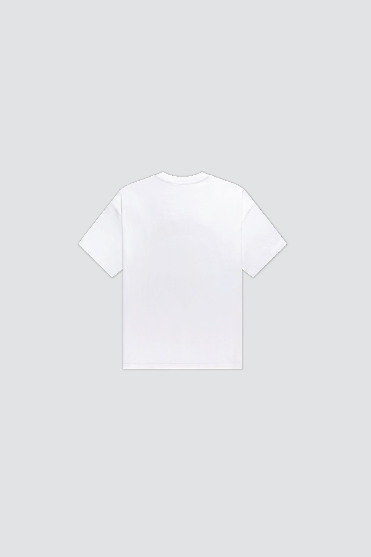 SECLUDED WHITE STORM TEE